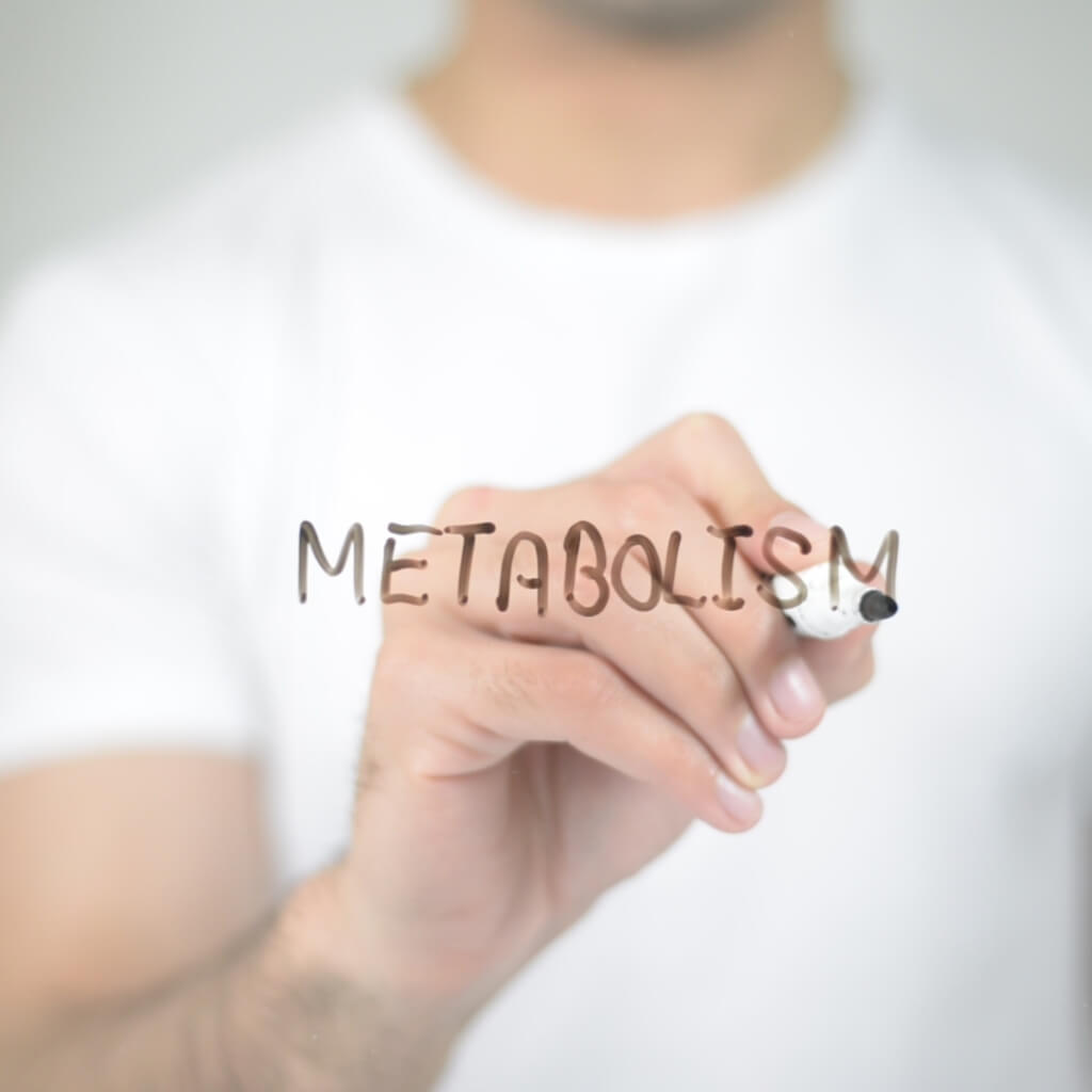 Fitness Training and Weight Lifting Enhances Metabolism