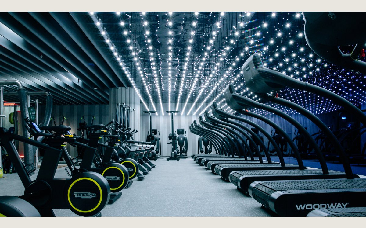 The cardio floor at Warehouse Gym, with curved treadmills and bikes under a lit ceiling